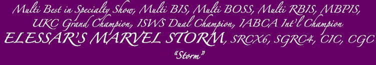 Elessar's Marvel Storm - title